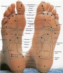 Foot Reflexology Charts The Sole Is Linked To All The Organs