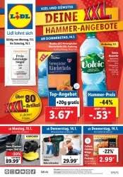 Zu jeder filiale bekommen sie per klick weitere informationen zur lage und dem aktuellen angebot. Lidl Horn Bad Meinberg Prospekt Aktuelle Angebote Januar 2021 Prospektecheck De