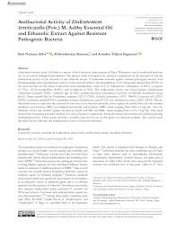 Image result for Endostemon tereticaulis