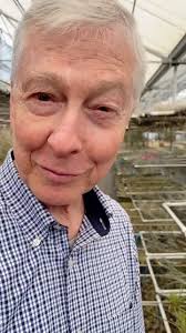 Tillandsia concolor Red Prince: The normal Tillandsia concolor has green  flower spikes with red margins but with this cultivar the entirety of the  spikes are red.