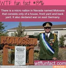 Molossia Fun Facts Funny Facts Wtf Fun Facts