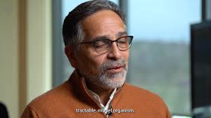 🐌👀What do apple snails have to do with human vision?, Stowers scientists  took a chance