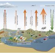 Integrated carbon and nitrogen management for cost-effective ...