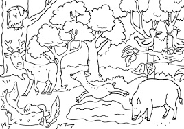 Ausmalbilder tiere im wald ausmalbilder waldtiere kostenlos malvorlagen zum. Ausmalbild Wald Van Sabine Voigt Nature Cartoon Toonpool