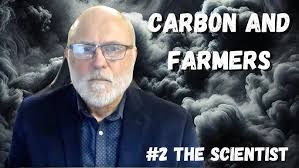 Expert Analysis: Carbon Effects