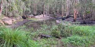 BRISBANE LAUNCH WEEKEND - Tooheys Forest Park Loop