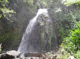 Dark View Falls St Vincent And The Grenadines 2021 All You Need To Know Before You Go With Photos Tripadvisor This hotel on canouan island in st. dark view falls st vincent and the
