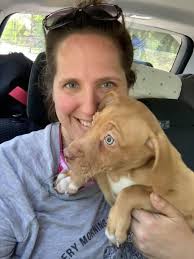 New girl arriving this weekend 🥰. Husband is Vetoing all name ideas so  far…🙄. Need some ideas please, Love human names for dogs. We already have  our boy Ted.