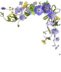 Coins Bordures Page 39 Floral Border Design Photo Corners Flower Frame
