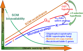 It has a convenient and beautiful design, optimized code. Temperature Sensitivity Of Som Decomposition Is Linked With A K Selected Microbial Community Li 2021 Global Change Biology Wiley Online Library