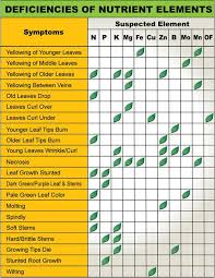 nutrient deficiency symptoms in plants vegetable garden