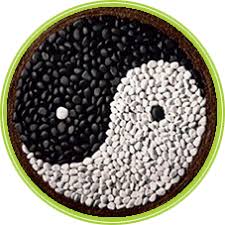 Check spelling or type a new query. Que Es La Dieta Macrobiotica Cuidado Con Ella