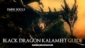 Players can also use super antifire, as it blocks the dragon fire breath attack completely. Black Dragon Kalameet Dark Souls Wiki