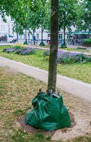 Plastic bags have fully integrated into our daily lives and we don't notice them anymore. A Treegator Watering Bag Around A Tree In The City Copenhagen Stock Photo Picture And Royalty Free Image Image 131976452