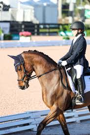 Global Dressage Festival LLC