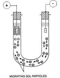 A sol is a type of colloid in which solid particles are suspended in a liquid. Viscocity Archives The Fact Factor