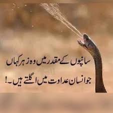 Pin By Souleymane Kone On Shahid Anjum Love Quotes With Images Jokes Quotes I Love You Quotes For Boyfriend