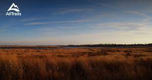 Best Trails In Brooklyn Marine Park Alltrails