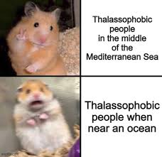 What kind of math problems do proteins enjoy? Jokes On Them The Bottom Cell Is Me Looking At This Sub Reddit Thalassophobia