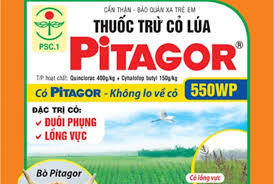 Pitagor 550WP