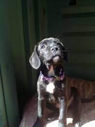 Ipinimgcom236x4e83004e830081eb6111ce0e2e