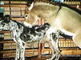 b/ - Random » Thread #851880803