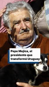 @EFEnoticias's video Tweet