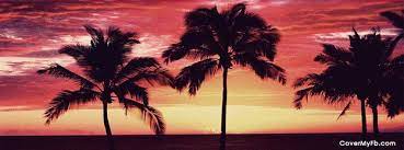 See more ideas about facebook cover, fb covers, summer. 20 Cool Summer Facebook Cover Photos Magazine Face Summer Facebook Cover Photos Facebook Cover Photos Cover Photos
