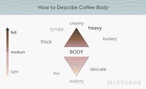 How would you describe specialty coffee? Guide To Coffee Cupping Refine Your Coffee Tasting Skills At Home