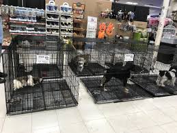 Zip codes for fort wayne, indiana, us. Indiana Pet Store Puppy Mill Connection Bailing Out Benji