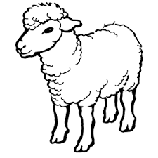 Schapen Kleurplaten Leuk Voor Kids