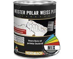 Wandfarbe Meister Polarweiss Plus Im Wunschfarbton 1 L Bei Hornbach Kaufen