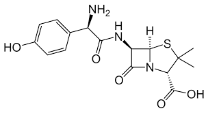 amoxicillin wikipedia