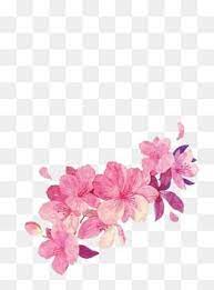 Painted Flowers Petal Pink Flower Png Transparent Clipart Image And Psd File For Free Download Adornos Vintage Fondos De Pantalla Girasoles Fondos De Word