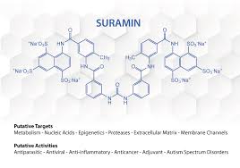 Image result for Suramin
