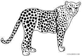 A printable coloring page is a good way to introduce animals to your kids. Printable Cheetah Coloring Pages For Kids
