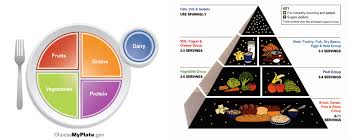 It replaced the usda's mypyramid guide on june 2, 2011, ending 19 years of usda food pyramid diagrams. Food Pyramid Myplate Mount Holyoke College