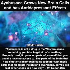 Pin On Ayahuasca