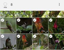Hier können sie eine app auswählen und anschließend in den einstellungen cache leeren antippen. Android Galerie Zeigt Nicht Alle Fotos Tipps