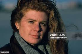 128 Literary Section Stock Photos, High-Res Pictures, and Images