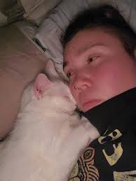 What are your kitties up to at night?