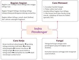 Download bank contoh soal bahasa indonesia kelas 9 (sembilan) kurikulum 2013 beserta kunci jawaban dan pembahasannya lengkap. Buat Peta Pikiran Indra Pendengar Kunci Jawaban Tema 1 Kelas 4 Sd Hal 103 104 Ringtimes Bali