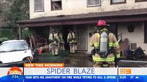 Check spelling or type a new query. Man Trys To Kill Spider With A Flamethrower Burns House Down Gif On Imgur