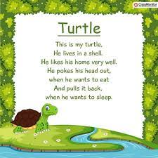 Turtle Poem Rhymes For Kids Rhyming Words Turtle Nursery