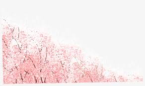 The great collection of sakura wallpapers for desktop, laptop and mobiles. Graham Brown Soft Pink Cherry Blossom Wallpaper 20 Cherry Blossom Wallpaper Sakura Png Image Transparent Png Free Download On Seekpng
