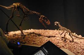 Lambeosaurus was named for lawrence lambe, a paleontologist with. The 10 Coolest Dinosaur Names