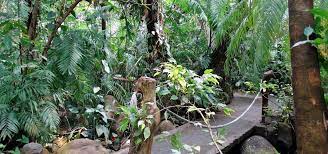 We did not find results for: Aromagarten Und Botanischer Garten Erlangenhotel De Citymoments
