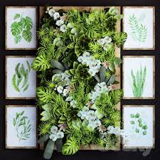 3d Models Plant Green Wall Green Wall Plants Green