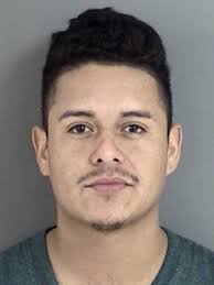 POLICE REPORTS: Dog welfare claims weren't bona fide