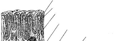 5 din hg 796/2005 (neconcordanþã în modificãrile legislative). Https Epub Uni Regensburg De 9909 1 Il11ralpha Pdf